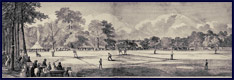 1859 Elysian Fields Baseball Game. Click to enlarge.